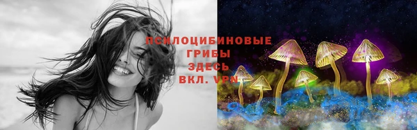 винт Куйбышев